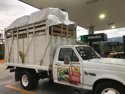 Alan fletes y mudanzas en Tuxtla Gutierrez