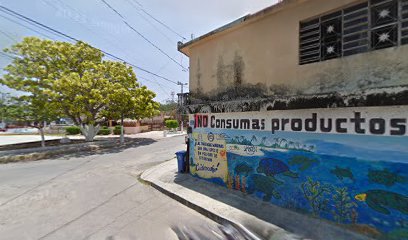 FLETES DEL CARIBE en Tulum