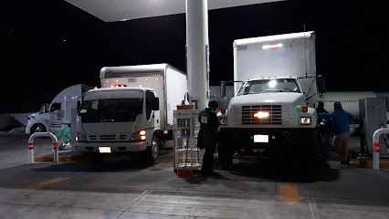 FLETES Y MUDANZAS DE GUERRERO en Chilpancingo de los Bravo