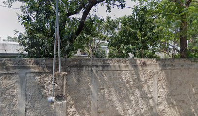 Fletera Impulsora del Sureste en Tuxtla Gutierrez
