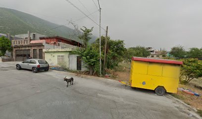 Fletes Rapidos Martinez en San Nicolas de los Garza