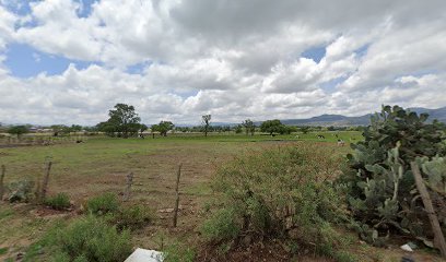 Fletes Tulancingo en Santiago