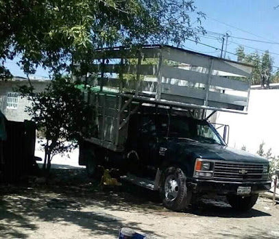 Fletes Y Muedanzas molina en Cdad. Victoria