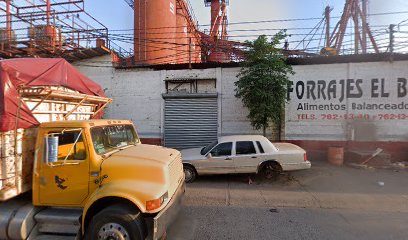 Fletes Y Servicios De Sinaloa Sa De Cv en Culiacan Rosales