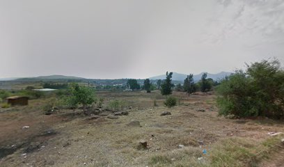 Fletes cendejas en Purepero de Echaiz