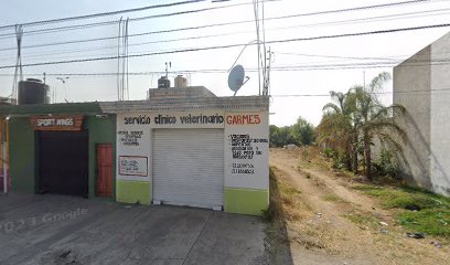 Fletes en Sanctorum