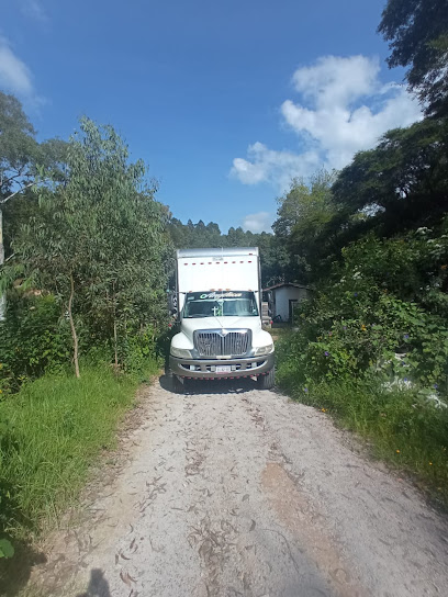 Fletes y Mudanzas Pichardo en San Salvador Tizatlalli