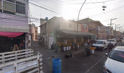 Fletes y Mudanzas Santa Rosa en Guadalajara