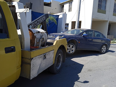 Fletes y gruas solher en Cienega de Flores