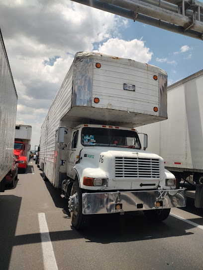 Fletes y mudanzas Express Rico en Santiago de Queretaro