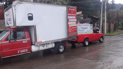 Fletes y mudanzas Transportes D’Garcia en Alvaro Obregon
