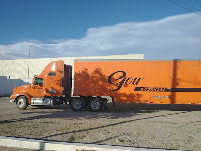 Gou – Chihuahua en Chihuahua