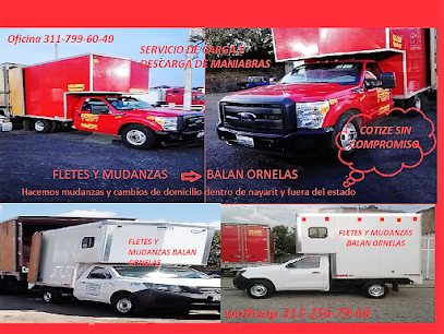 Mudanzas Benavides en Tepic