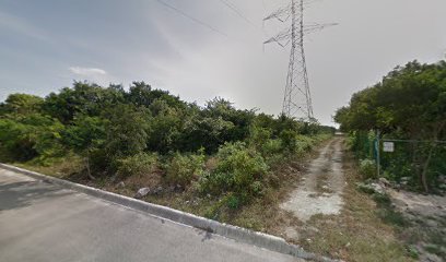 Mudanzas Compartidas Nacionales en Playa del Carmen
