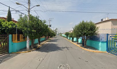 Mudanzas Cruz en Los Reyes Acaquilpan