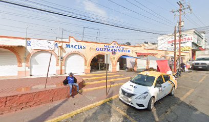 Mudanzas Guzman Mayer en Pachuca de Soto