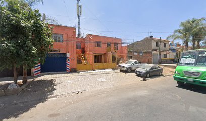 Mudanzas Zoe en Guadalajara