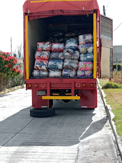 Mudanzas apizaco tlax en Cdad. de Apizaco