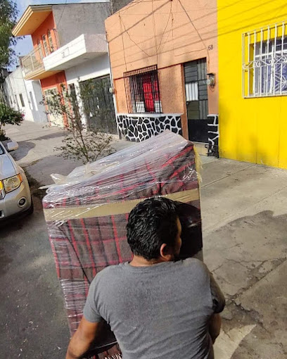 Mudanzas de la costa de colima en Colima