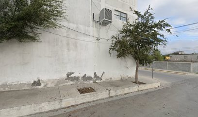 Mudanzas del Noreste en Reynosa