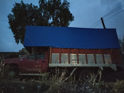 Mudanzas jarillo en Mexico