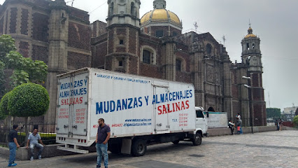 Mudanzas y Transportes Salinas en Tlalpan