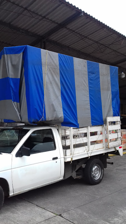 Mudanzas y fletes Manatial en Veracruz