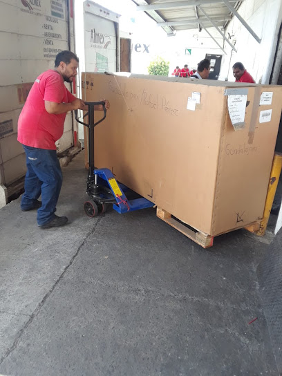 Mudanzas y maniobras tapia en Guadalajara