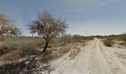 Orta s en San Luis Potosi