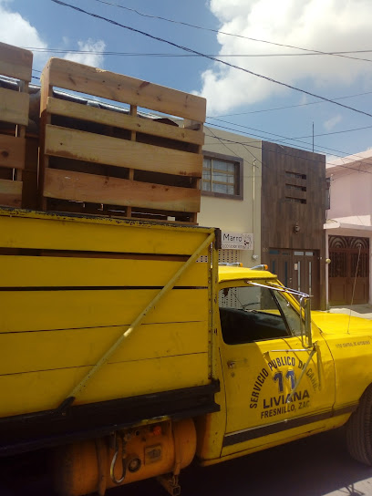 Servicio publico de carga liviana 11 fresnillo en Fresnillo