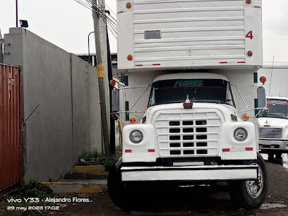 Sitio, de Transportes y Mudanzas, flores, servicio de transporte de carga en general, local y foraneo en Ecatepec de Morelos