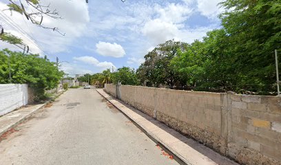 TRANSPORTES » VEGA » en Merida