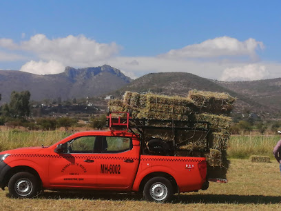 Taxi mixto y fletes en Queretaro en Santiago de Queretaro