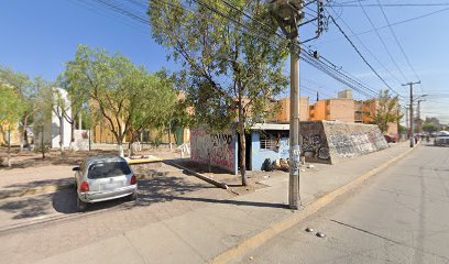 Torres Sandoval Transportacion S.A. de C.V. en San Luis Potosi