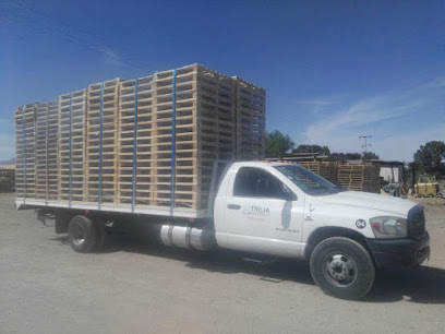 Transportes TREJA en Saltillo